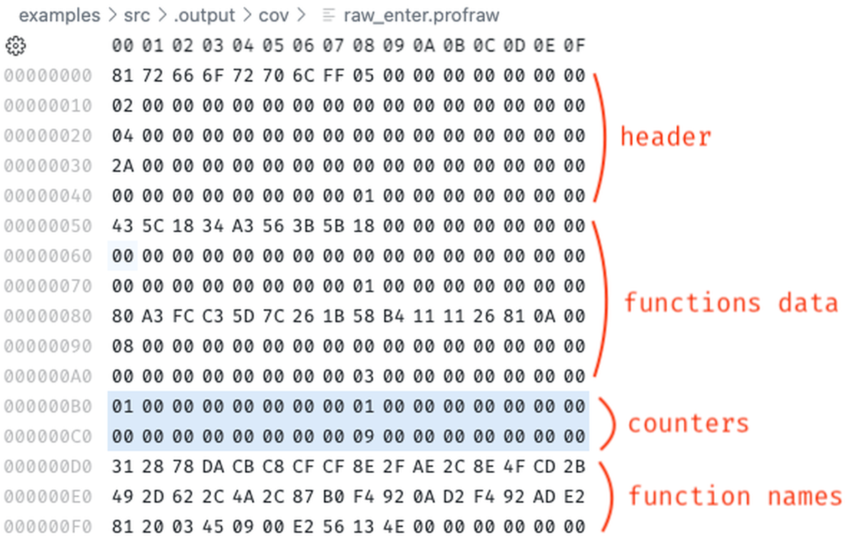 A profraw file from an eBPF program running in the Linux kernel